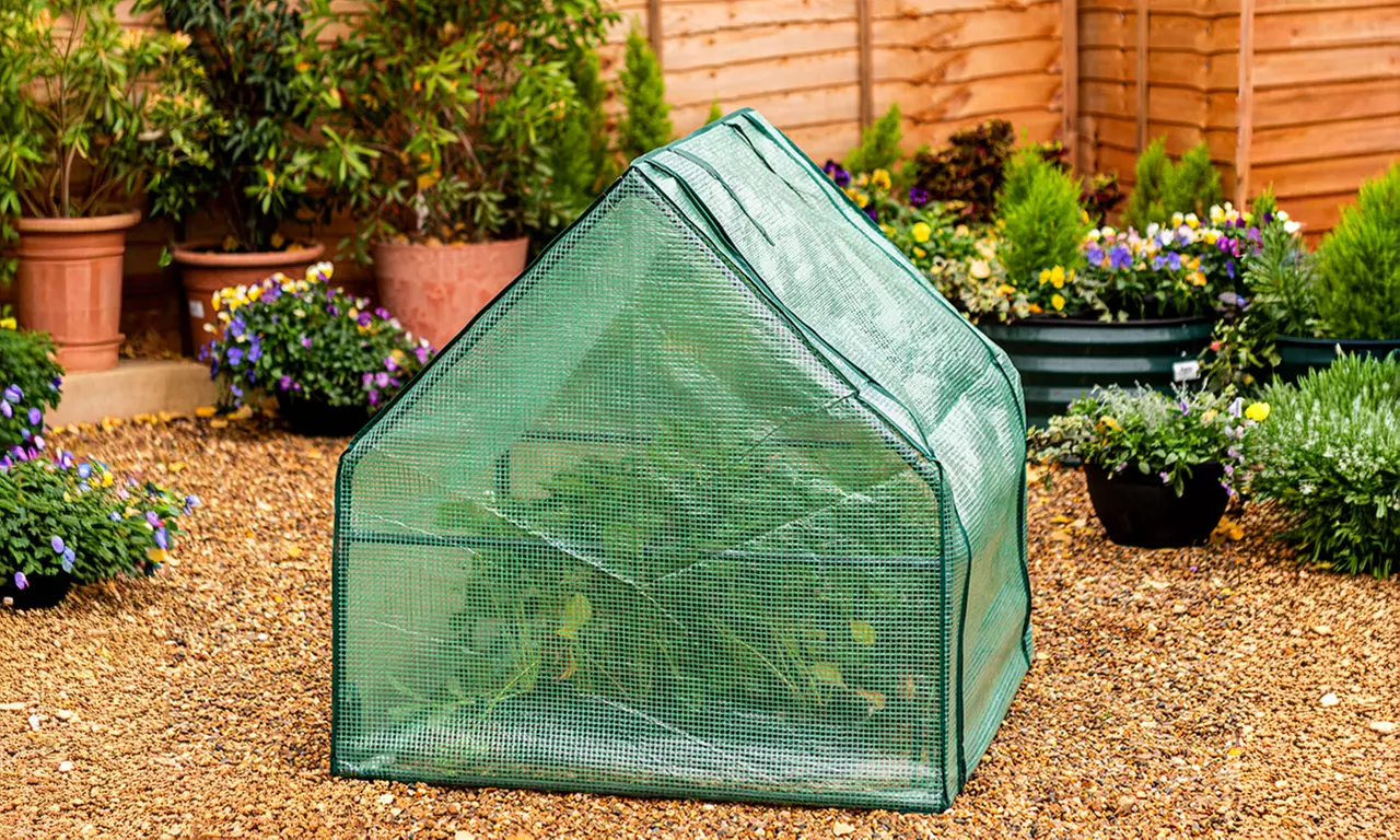 Garden Gear Plant Protection Cloches