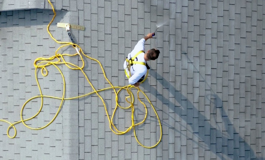Image 3: Professional Gutter Cleaning Services for Up to 250 Square Feet