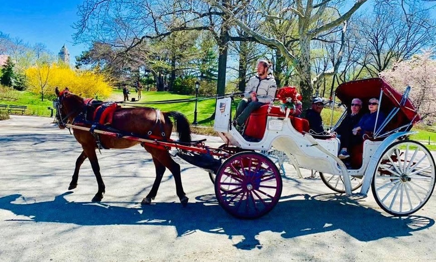 Image 2: Central Park Horse Carriage Ride & Horse Interaction Experience