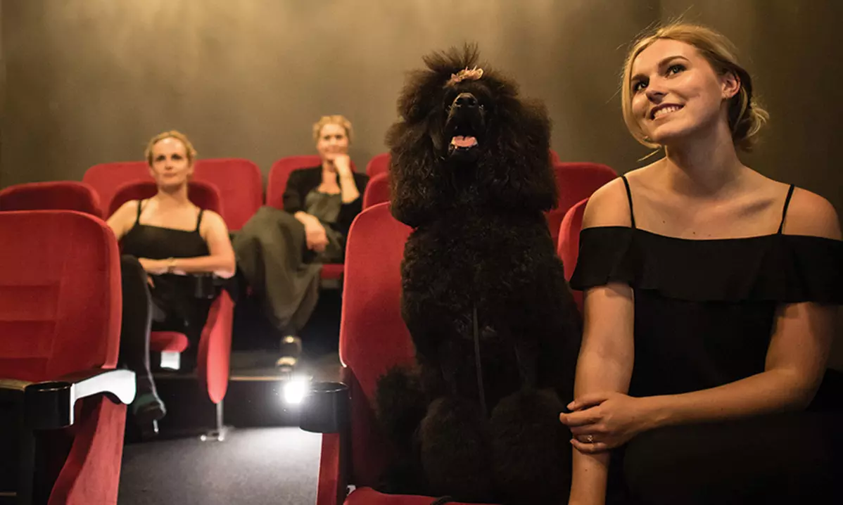 Maastricht: Standard- oder Superior-Doppelzimmer mit Frühstück