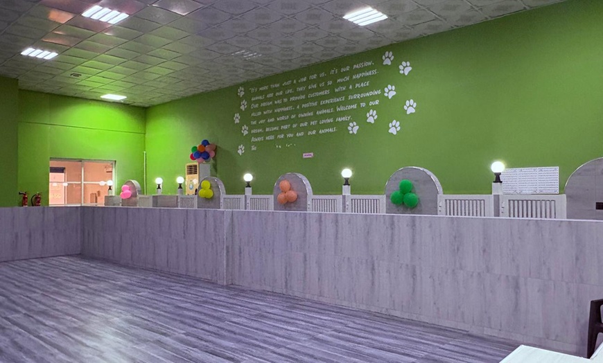 Image 4: Cat or Dog Boarding With One or Three Night Stays or Training Packages