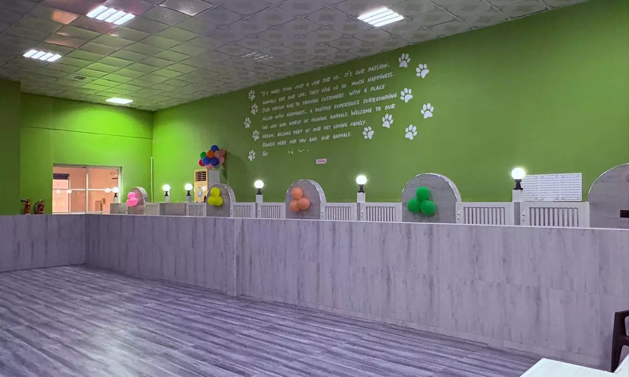 Cat or Dog Boarding With One or Three Night Stays or Training Packages