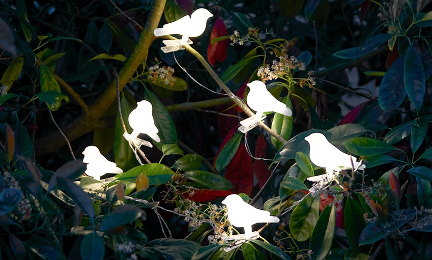 Image 1: Solar Bird Tree Lights