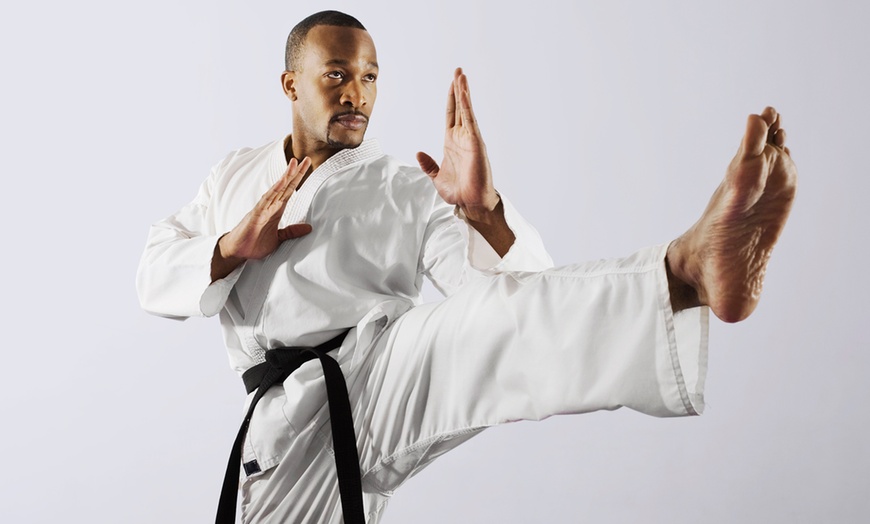 Image 1: Jumpstart Your Martial Arts Journey: Two Weeks or One Month of Lessons