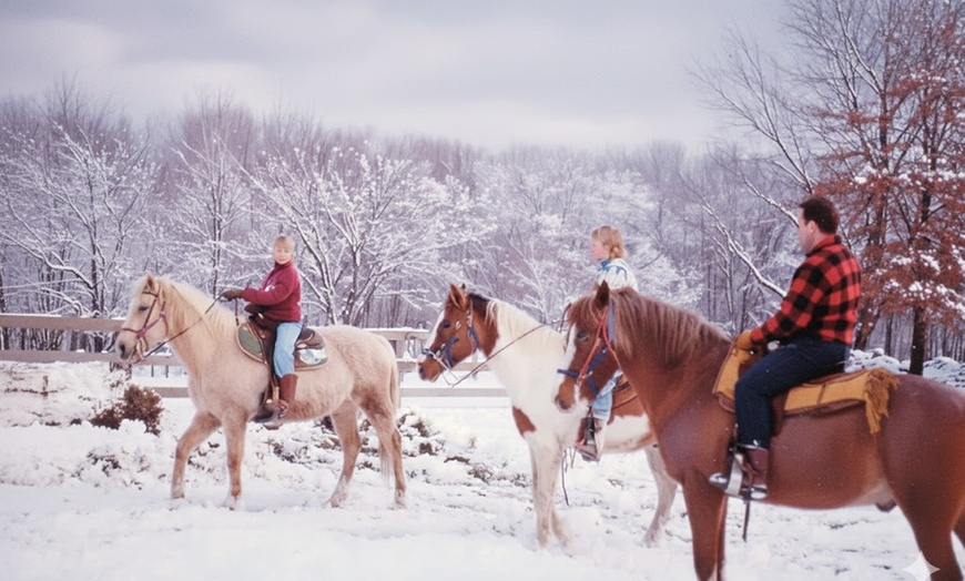 Image 8: Horseback Trail Ride Through Hudson Valley (45 Minutes)