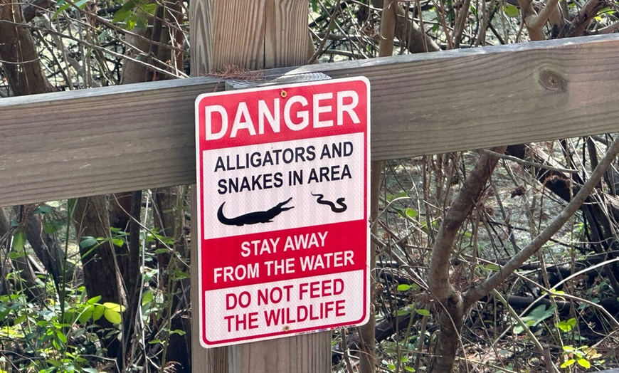 Image 5: Electric Bike & Trike Rentals - Explore East Lake Toho