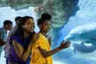 END OF SUMMER SALE! Save 58% on SeaWorld Orlando Tickets, Fun Cards & Meal Deals! - Second Medium