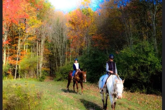 What to expect media