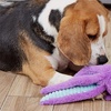 Image 7: Plush Squeaky Octopus Dog Toy