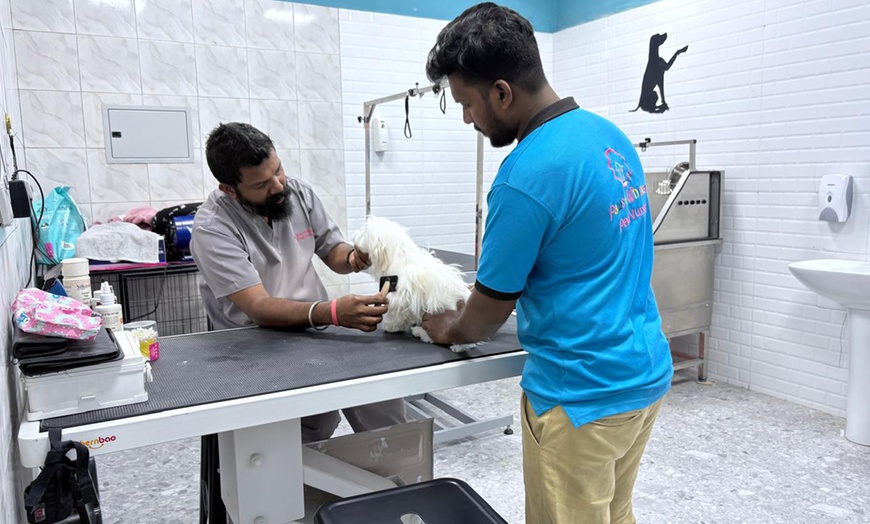 Image 2: Cat or Dog Boarding With One or Three Night Stays or Training Packages