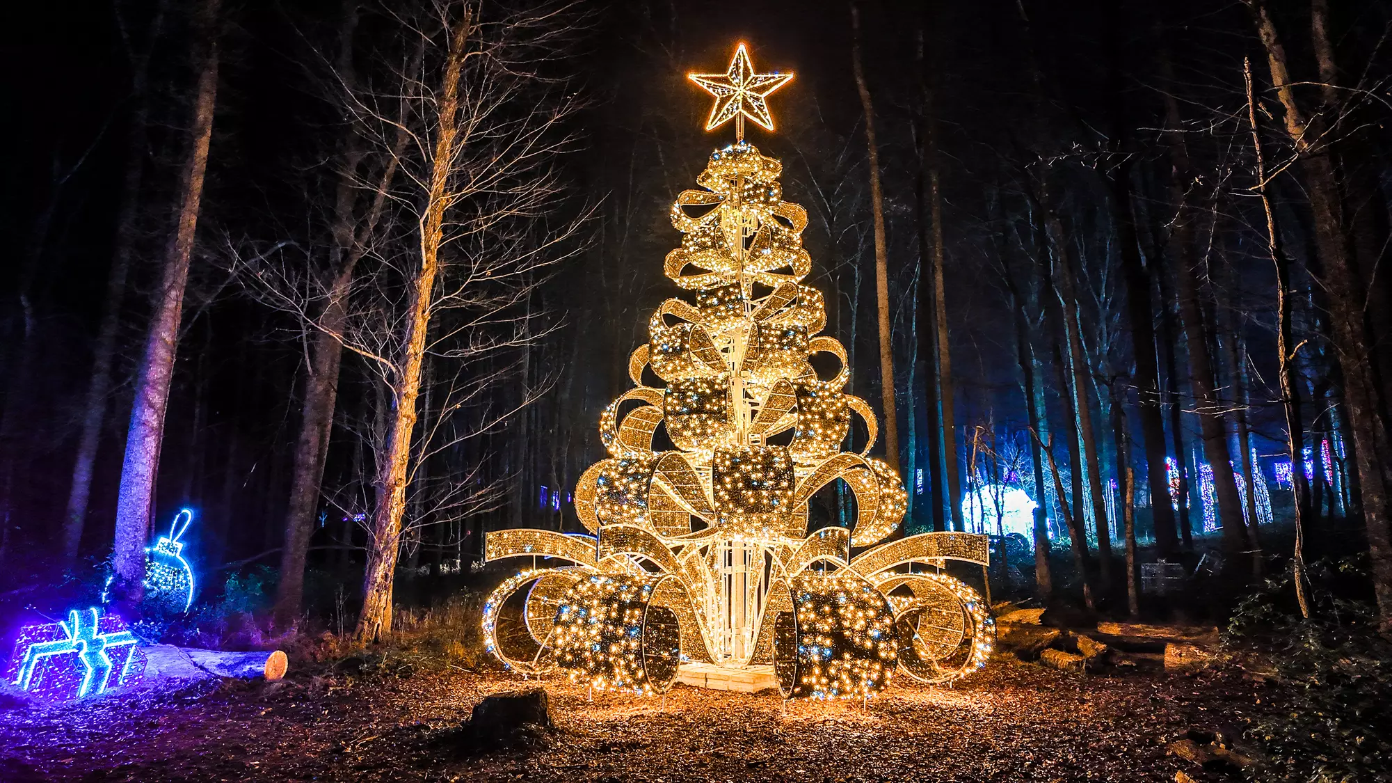 Dazzling Winter City Lights Holiday Experience & Snow-Tubing