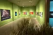 Admission to the Santa Monica Art Museum - Includes A Day With David Bowie Exhibit and Spectacle by National Geographic (Up to 38% Off) - Second Medium