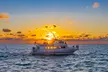2 Hour Glass Bottom Boat Tour of Key West with Exotic Marine Life and Sun Deck Viewing Platforms! - Second Medium