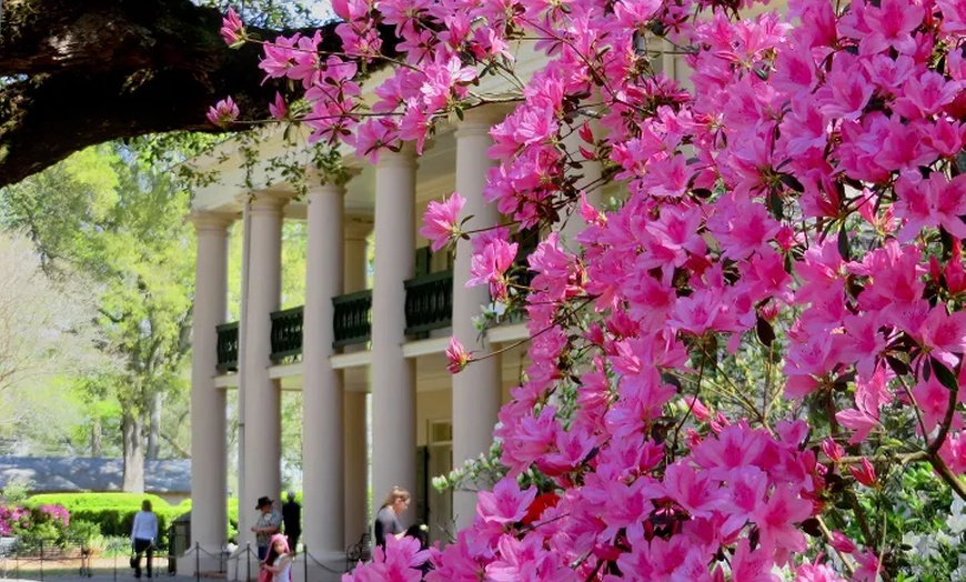 Image 14: Up to 21% Off Historic New Orleans Plantation Tours