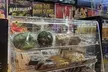 Edibles and Buy 1 Get 1 Free Infused Slushies (Up to 50% Off) - Second Medium