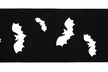 Women's Knee High Halloween Socks - Second Medium