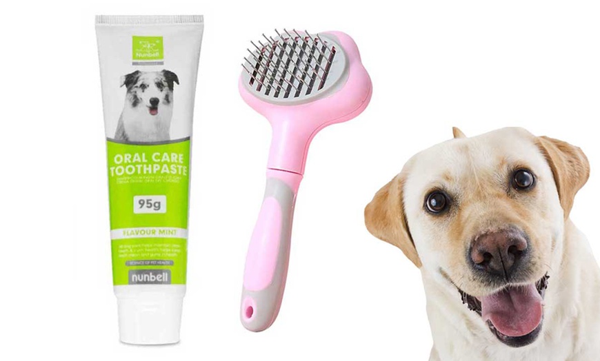Image 1: 2, 3 o 4 confezioni di dentifricio Oral Care per animali