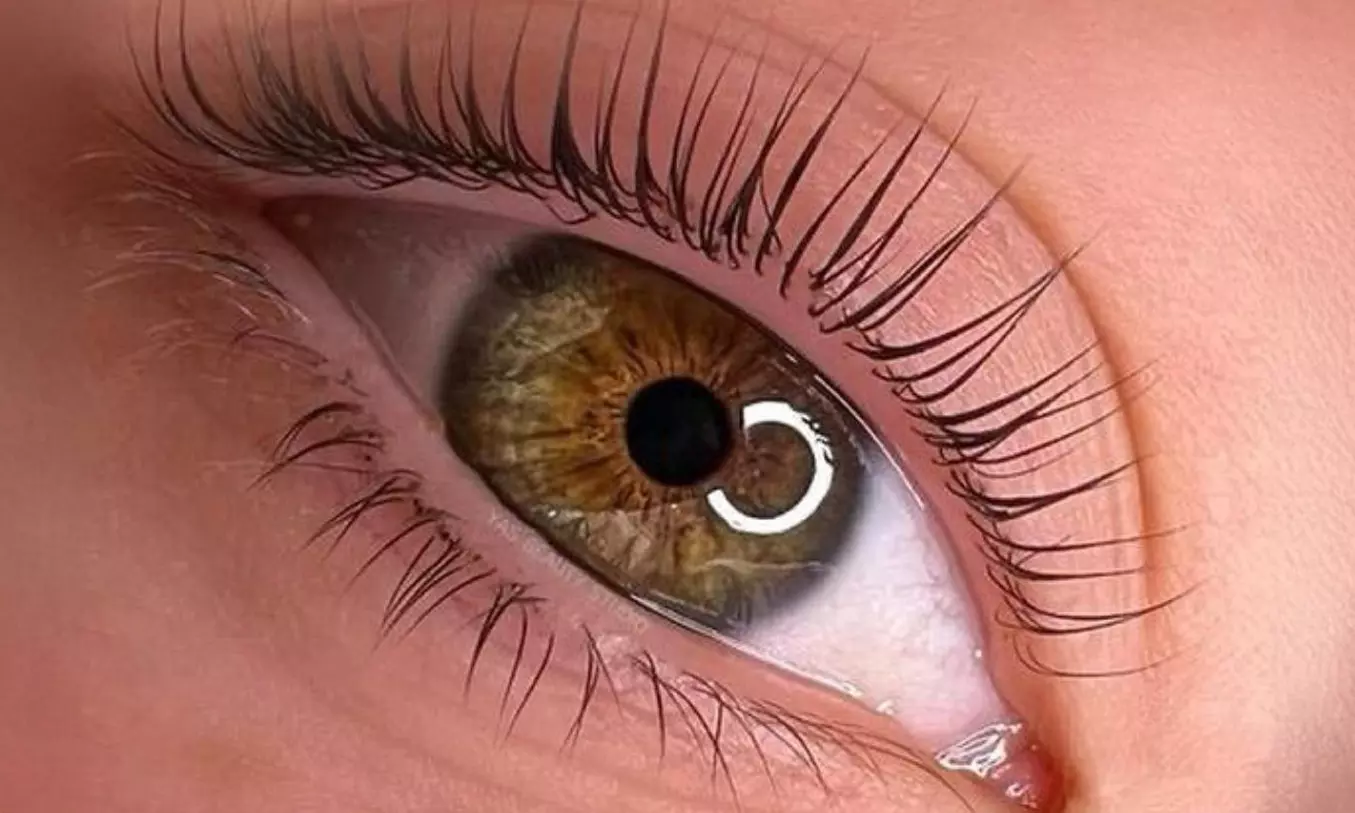 Augenbrauen- und/oder Wimpern-Lifting inkl. Färben für 1 Person