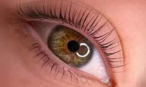 Augenbrauen- und/oder Wimpern-Lifting inkl. Färben für 1 Person (bis zu 50% sparen)