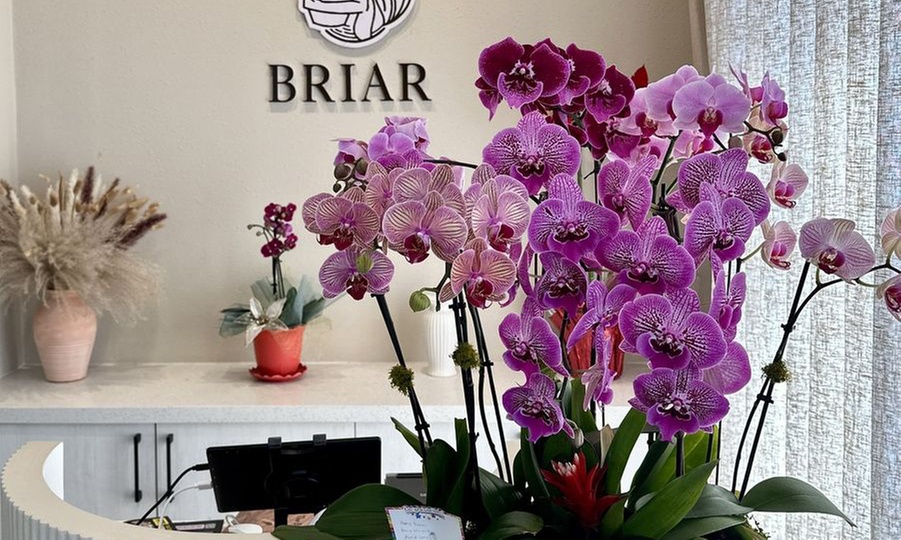 Reboot your Mind & Scalp: 60- and 90-Minute Head Spa Experiences