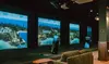 One, Two, or Three Hours of Bay Time with a Drink; Valid Monday-Friday at Birdies And Lattes (Up to 23% Off)