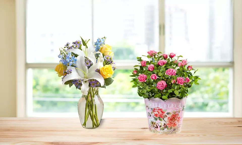 Floral Arrangements from Florists.com (50% Off) - Second Medium