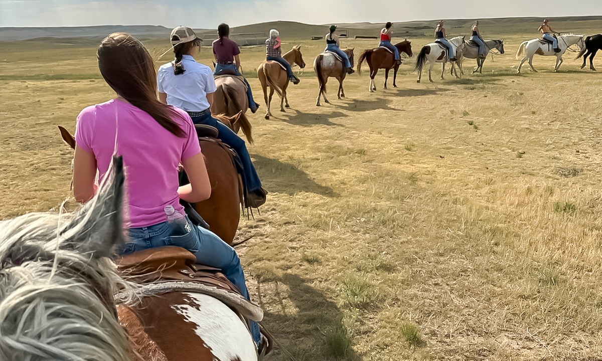One Hour Horse Back Riding for One, Two, Three or Four 