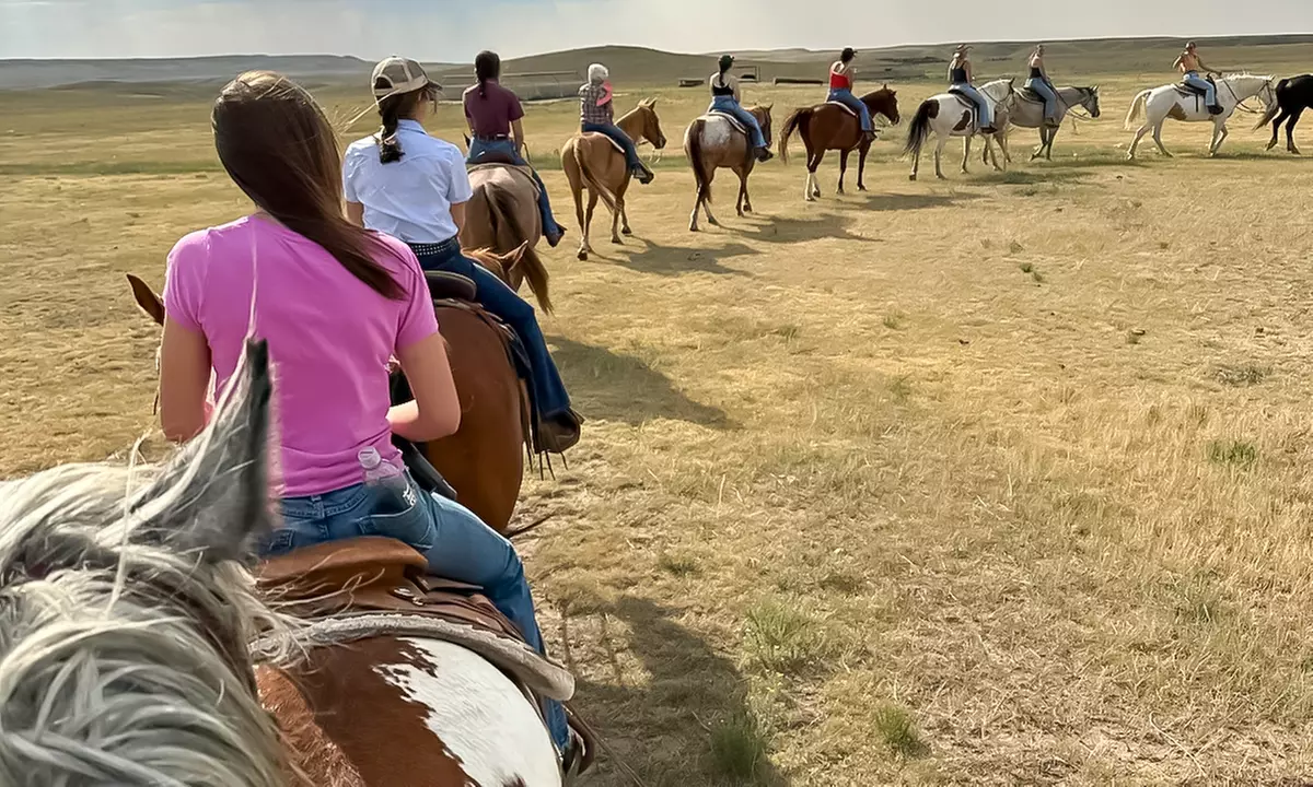 One Hour Horse Back Riding for One, Two, Three or Four 