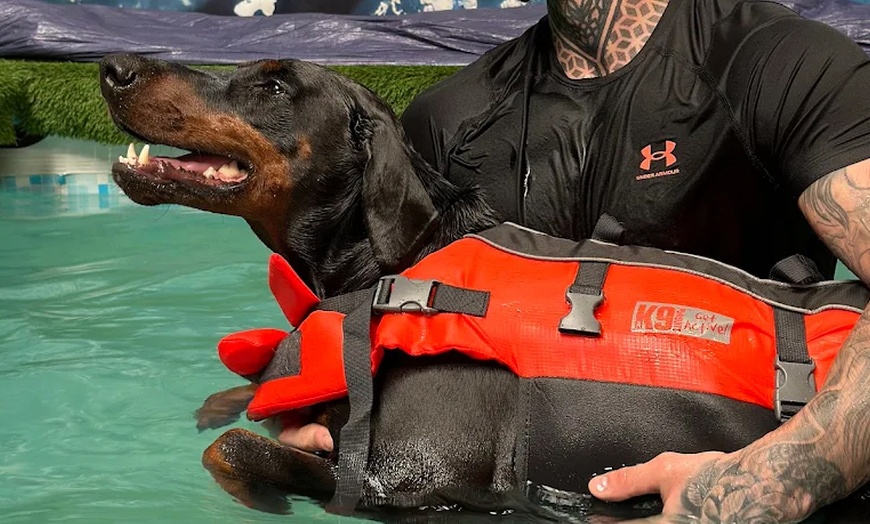 Image 13: Water Fun Awaits: Doggy Fun Swim Session (Owners Welcome to Swim Too)