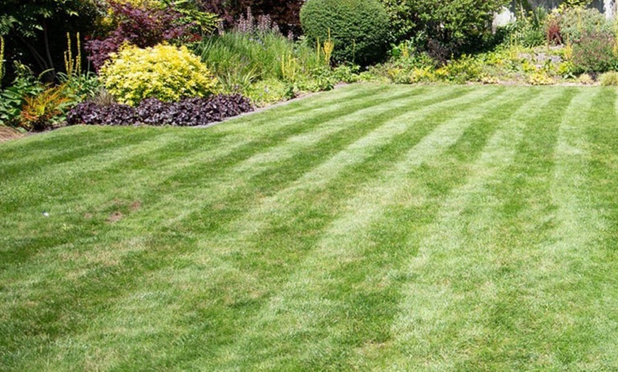Image 2: Lawn Treatments + Weed/Moss Control for Up to 100, 200, 300 or 400 Sqm