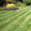 Image 2: Lawn Treatments + Weed/Moss Control for Up to 100, 200, 300 or 400 Sqm