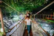 Dive into Wonder: Basic Entry or Ultimate Encounter for One, Two or Four Adults to World’s Largest Suspended Aquarium - Image 5