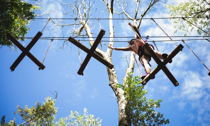 Image 2: Parc accrobranche et jeux pour enfants à Pangea Terre d'aventures