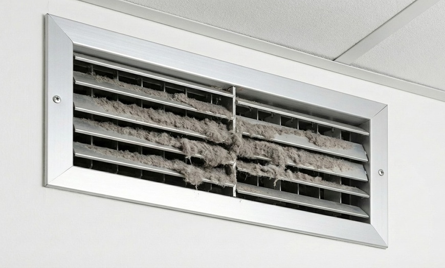 Image 4: Comprehensive Home Wellness Packages: Mold, Air Quality & Dryer Safety
