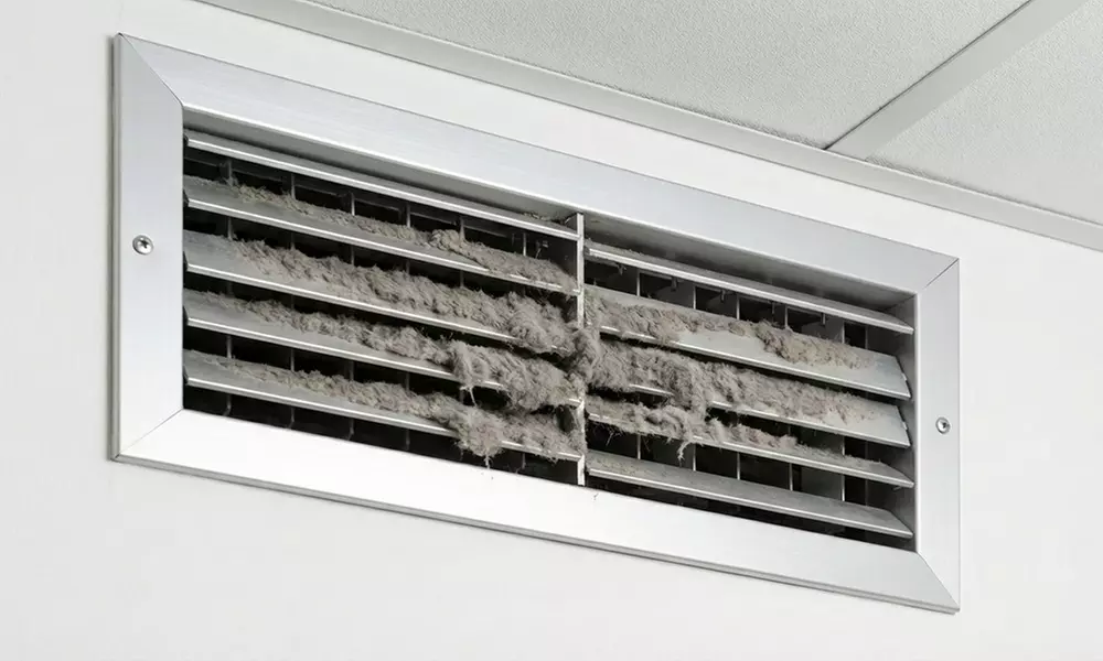 Comprehensive Home Wellness Packages: Mold, Air Quality & Dryer Safety