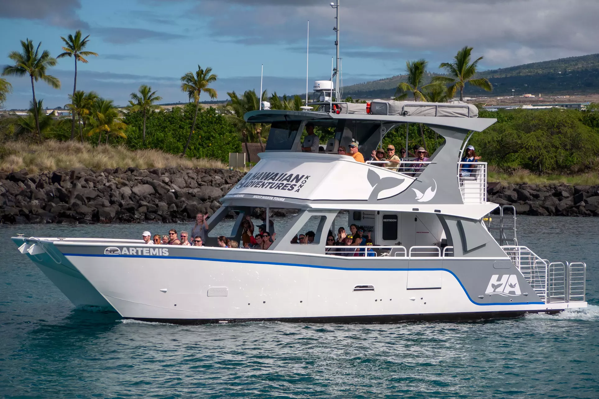 Guaranteed Whale / Dolphin Watching Tour in Hawaii's Kona Coast