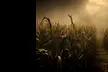 The Ultimate Fear-Pass: America’s Most Horrifying Haunted Experience: 3 Attractions, DJs, Food & the Loudest Screams! - Second Medium