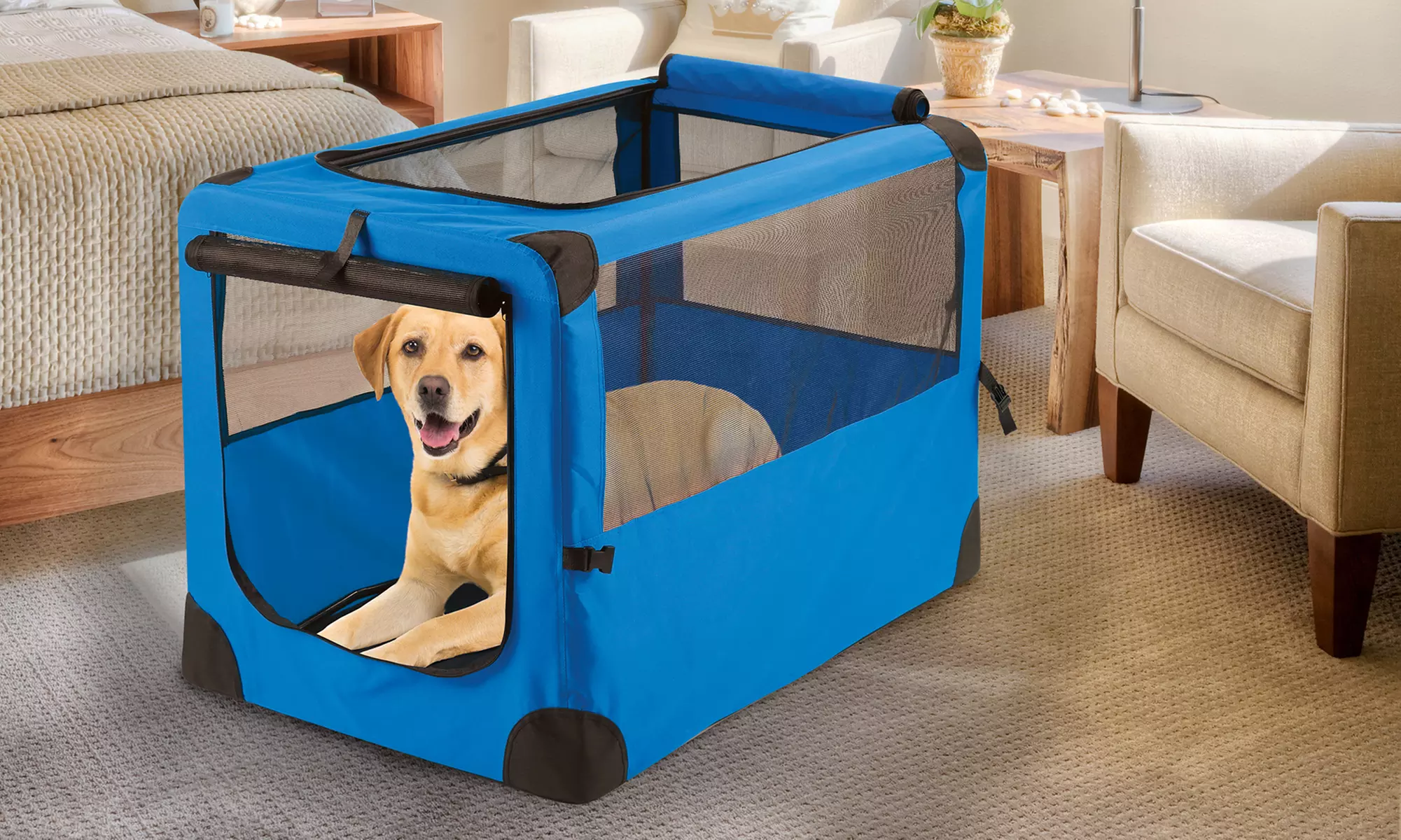 Giant Portable Pet Houses - Primary Image