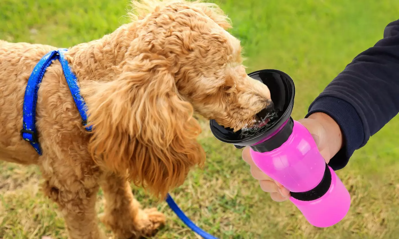 iMounTEK 500ml Pet Travel Water Bottle with Dispenser Cup