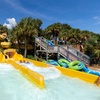 Image 2: Year-Round Thrills at North Florida’s Top Attractions