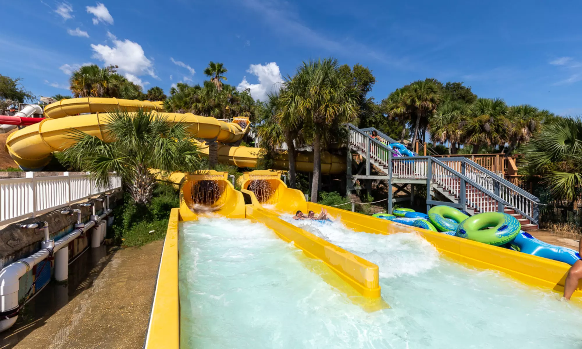 Year-Round Thrills at North Florida’s Top Attractions