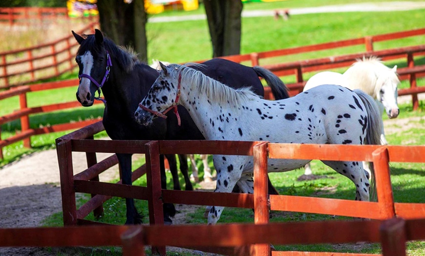 Image 7:  Experience Endless Fun with Entry for One, Two or Family of Four 