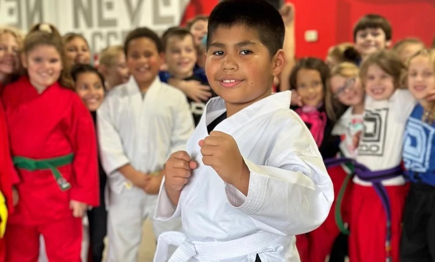 Image 1: Get One Month Karate Kid Membership or Summer Karate Special 