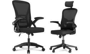 Ergonomic Office Chair