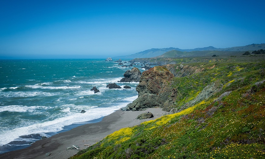 Image 2: Russian River Kayak Tour for Adults and Children 