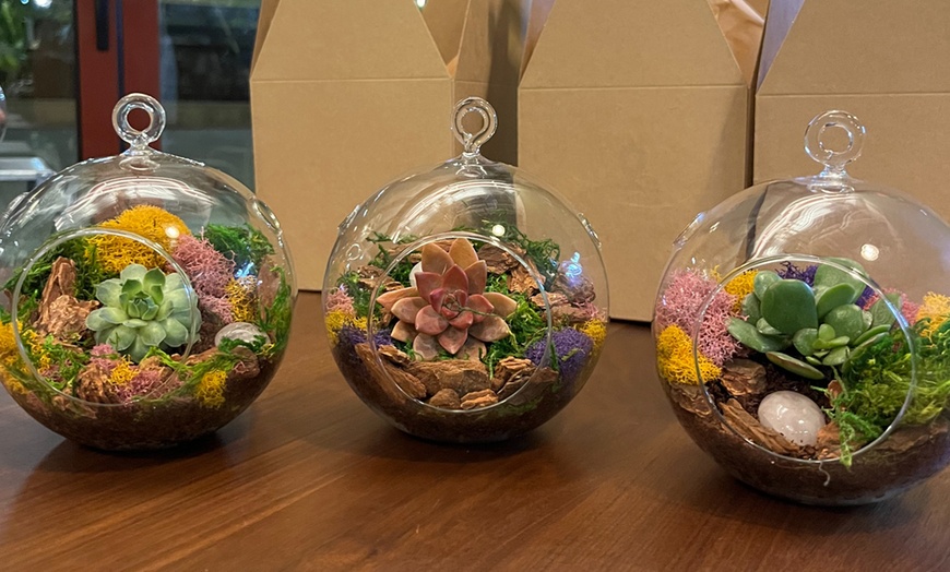 Image 1: Sunday Sips & Succulents: Craft a Unique Terrarium with Drinks 