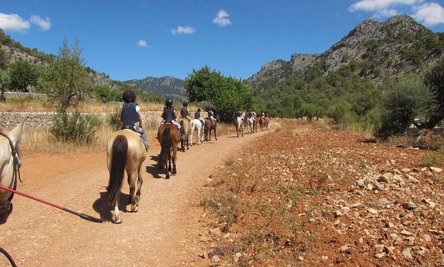 Image 4: Paseo a caballo y visita a finca mallorquina para 1 o 2 personas