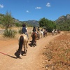 Image 4: Paseo a caballo y visita a finca mallorquina para 1 o 2 personas
