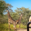 Image 11: Hoedspruit: 5-7-Night Escape at Vuyani River Lodge with Daily Safaris
