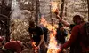 Wild Edible & Medicinal Plants Class, Outdoor Survival Class- Women of the Woods and More (Up to 55% Off)